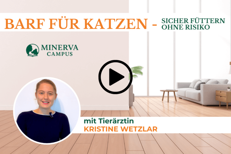 BARF für Katzen: Was deine Katze wirklich braucht