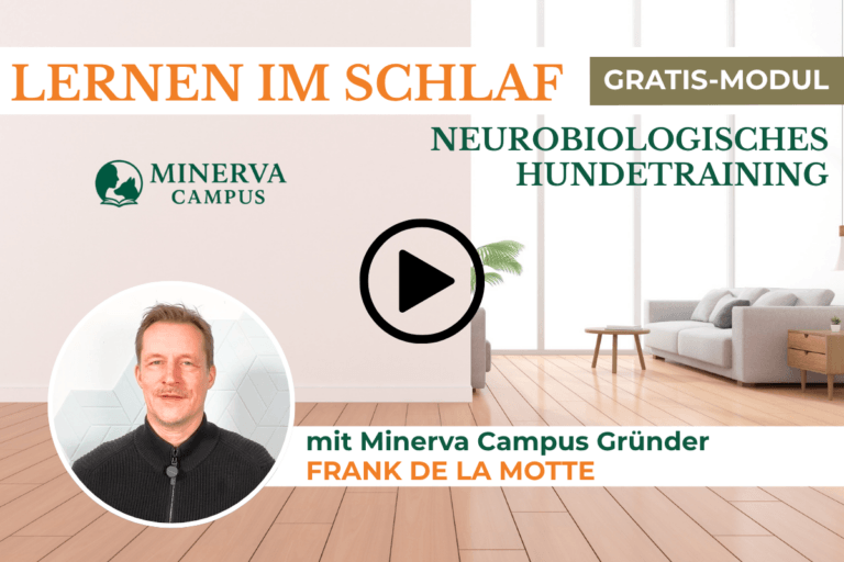 Lernen im Schlaf | Neurobiologisches Hundetraining