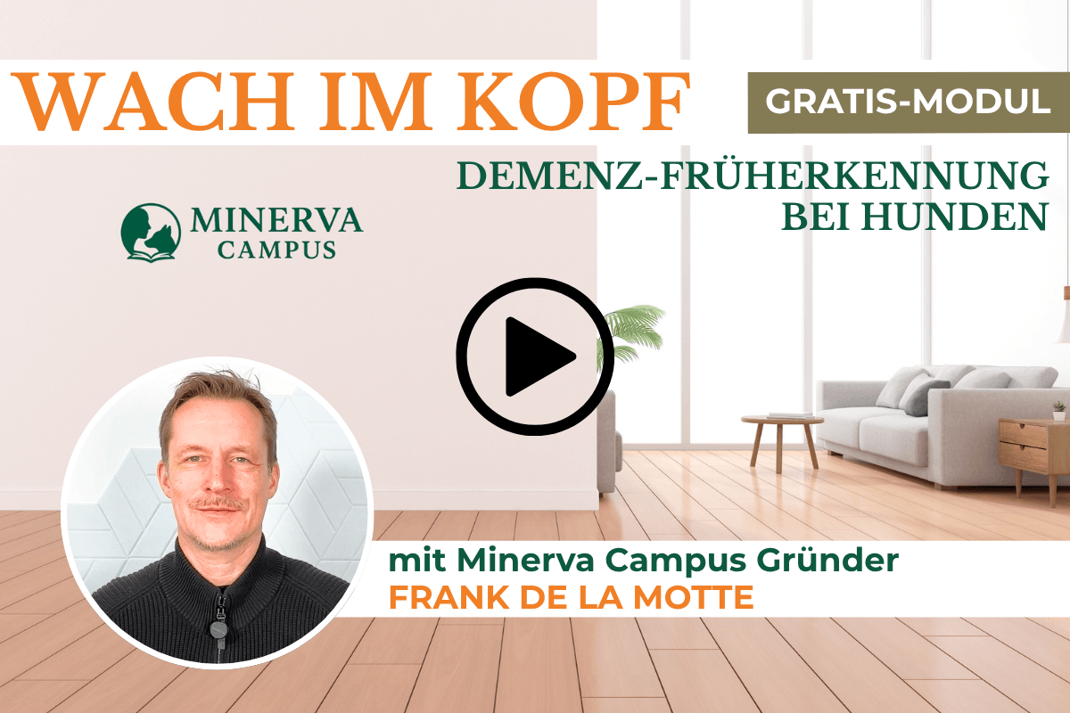 Video-Teaser zum Gratis-Themenmodul 'Wach im Kopf – Demenz-Früherkennung bei Hunden' mit Minerva-Campus-Gründer Frank de la Motte
