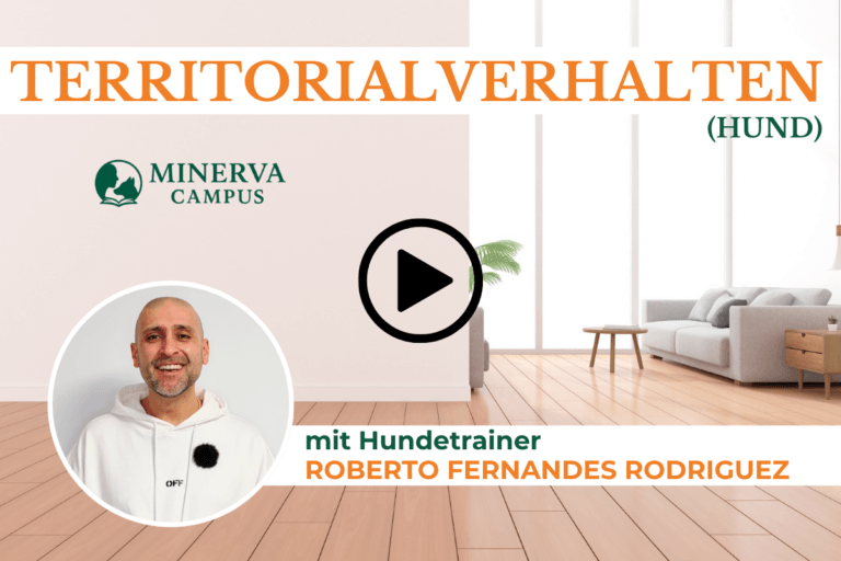 Territorialverhalten beim Hund: Verstehen und verändern