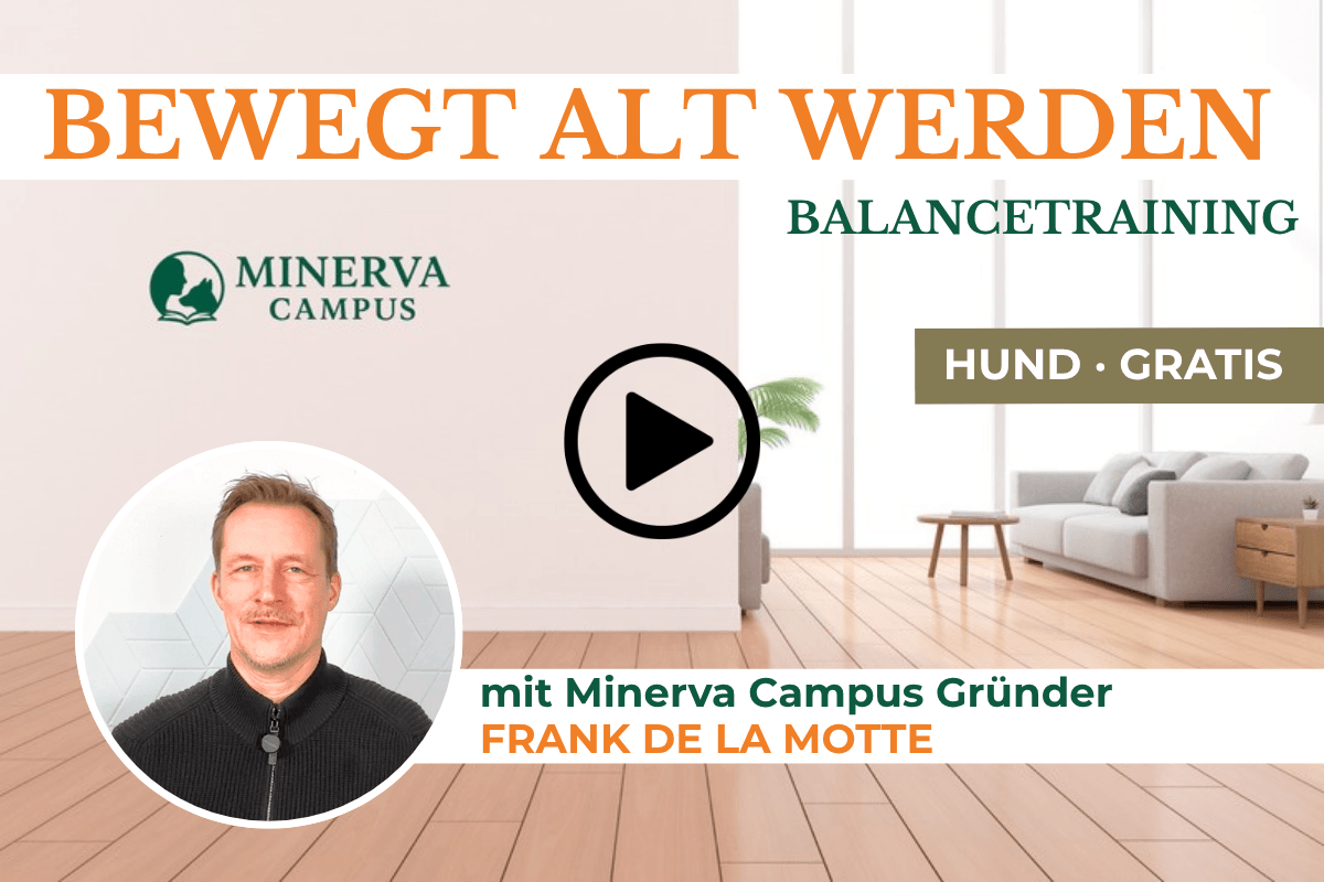 Titelbild des kostenfreien Themenmoduls Bewegt alt werden: Balancetraining für Hunde mit Frank de la Motte
