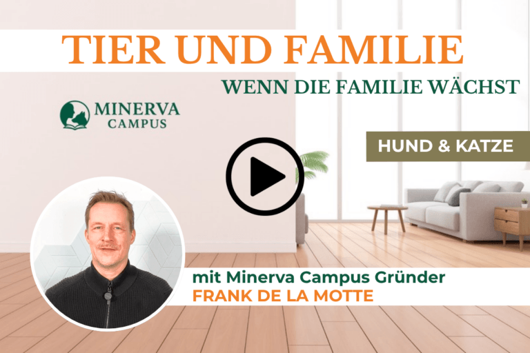 Neues Tier oder Baby im Haus? So gelingt das Miteinander